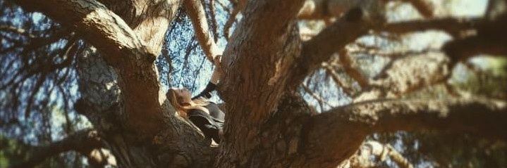 KyubiApotropa's profile banner image