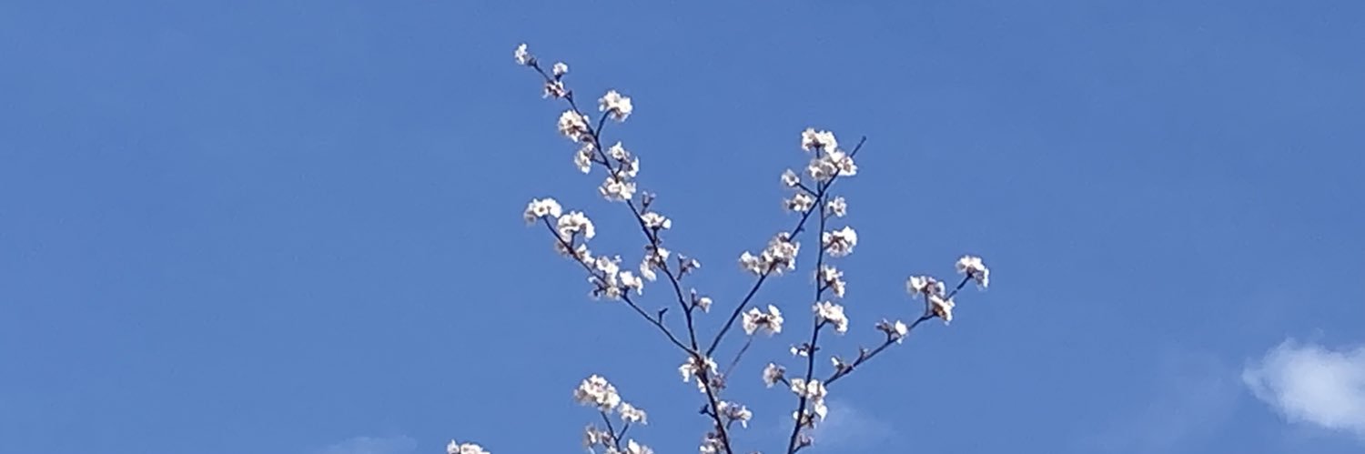 Nao. banner