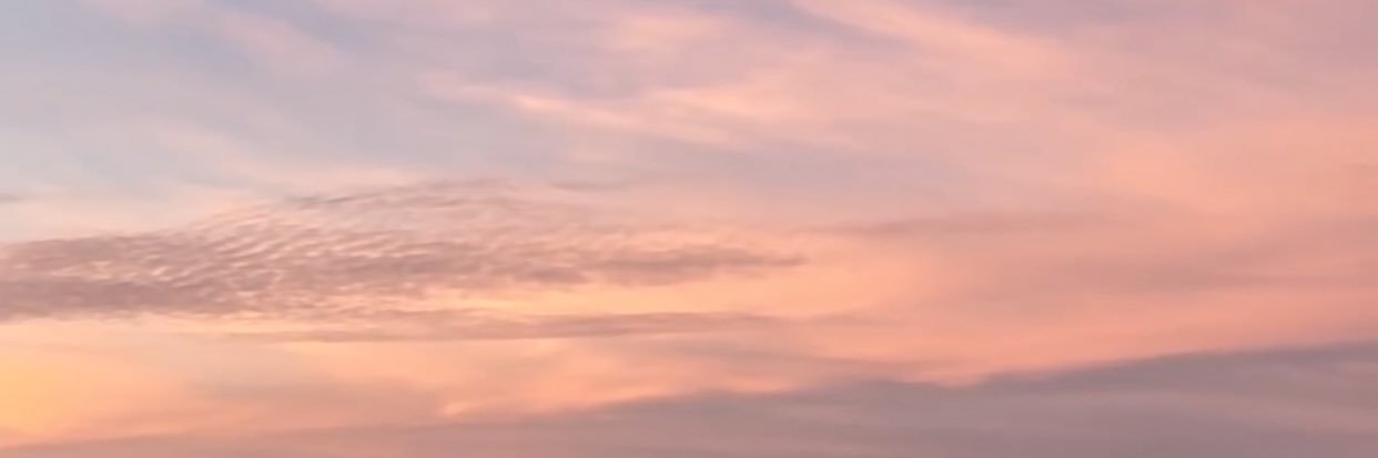coline_odn's profile banner image