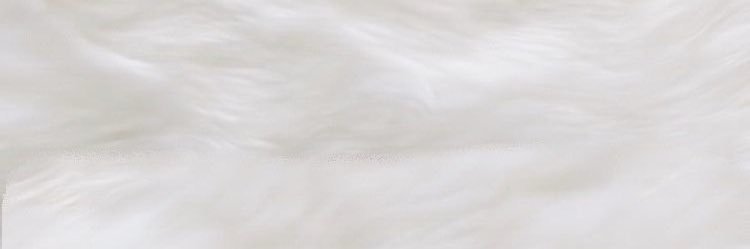 sft441's profile banner image