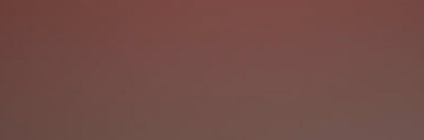 letstayraw's profile banner image