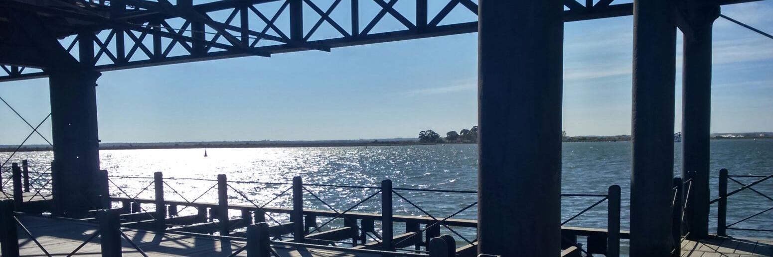 AnthonyBuz's profile banner image