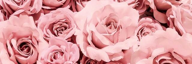 OgooBaby's profile banner image