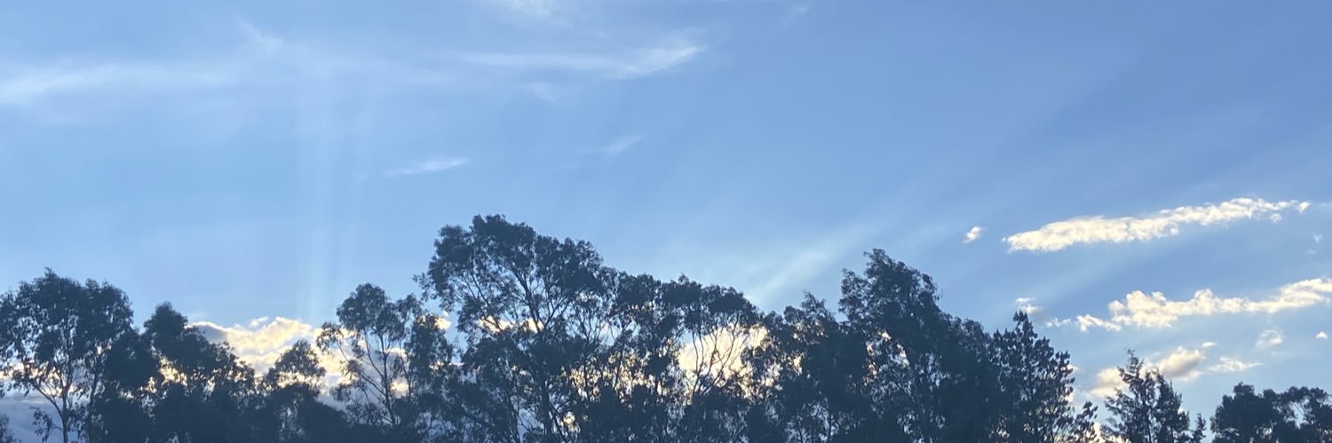 ZereEstrada's profile banner image