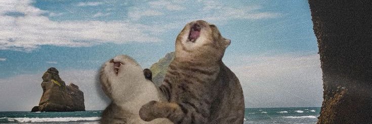 Elle banner