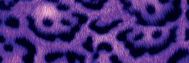 Melisswhite's profile banner image