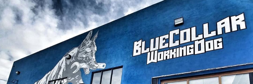BlueCollarDogs's profile banner image