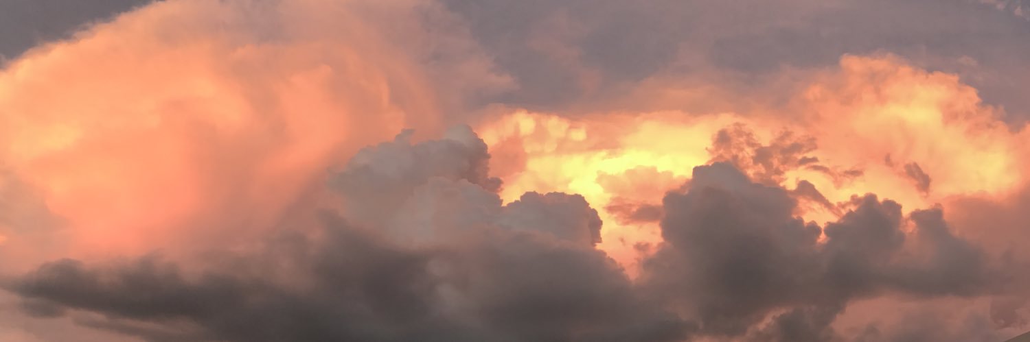 avisute banner