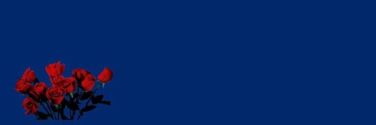 3 banner