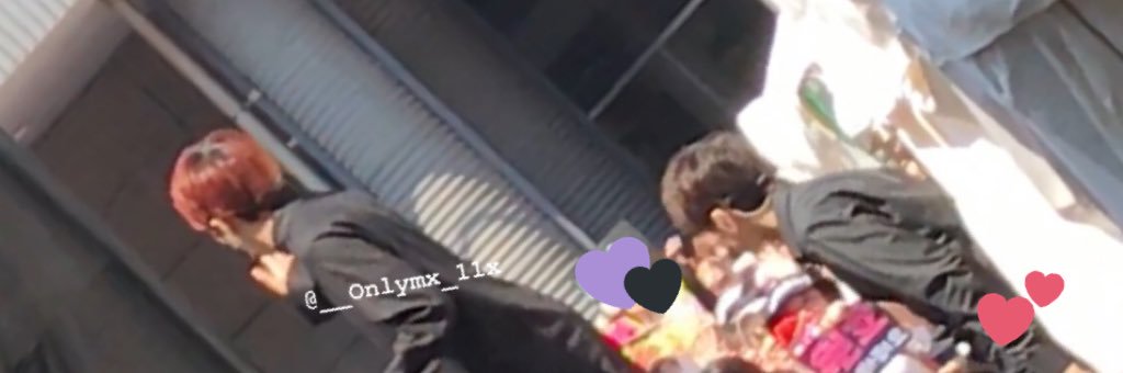 미🐬 banner