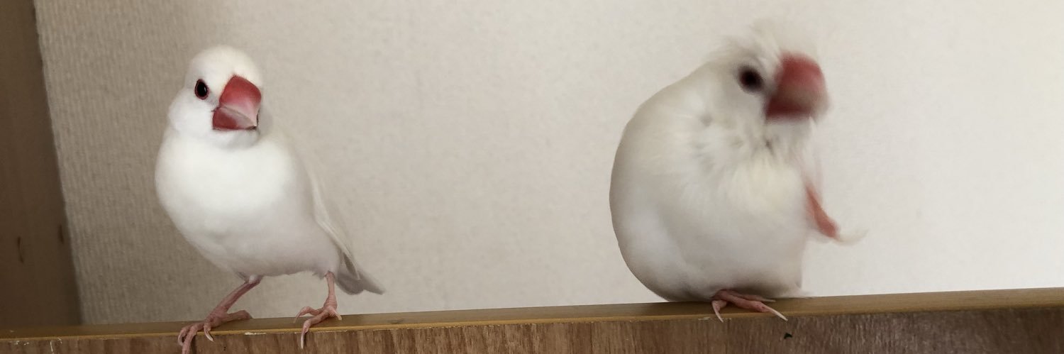 jucchi0515's profile banner image