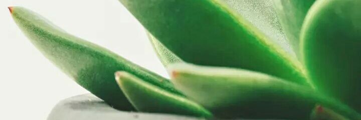 hakeemadzman's profile banner image