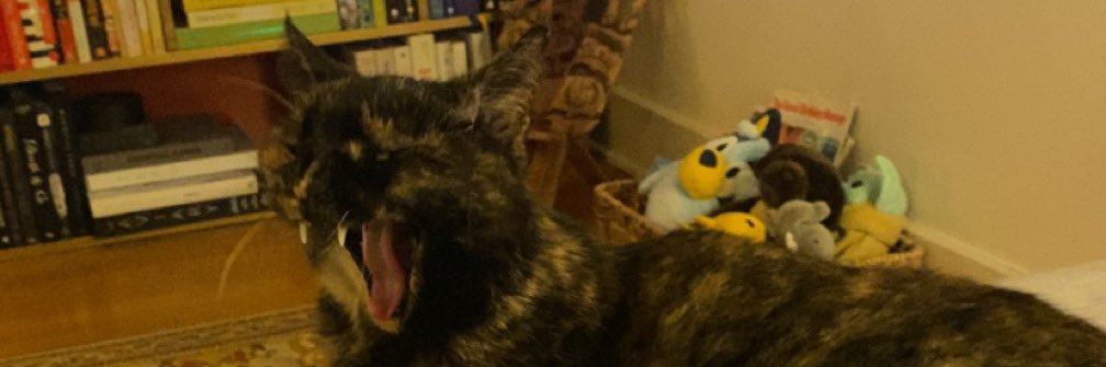 jadequevedo7's profile banner image
