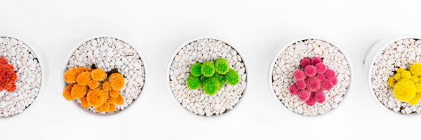 IObligation Profile Banner