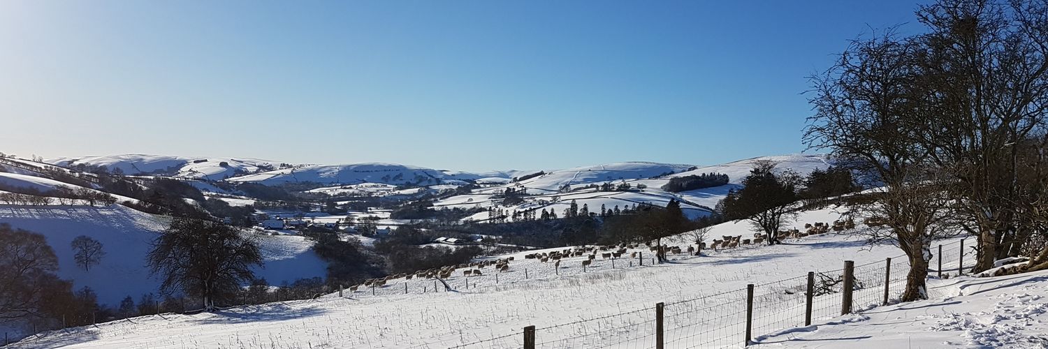 Gareth Aubrey banner