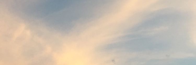 suhailanutt's profile banner image