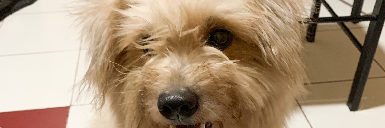 norwinagustin's profile banner image