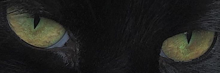 ⵏⴻⴳⴰⵏ | Negan banner