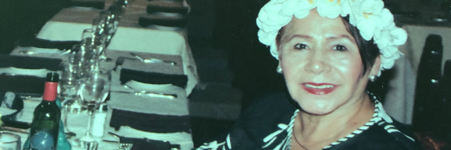 VIRGINIA VAZQUEZ banner