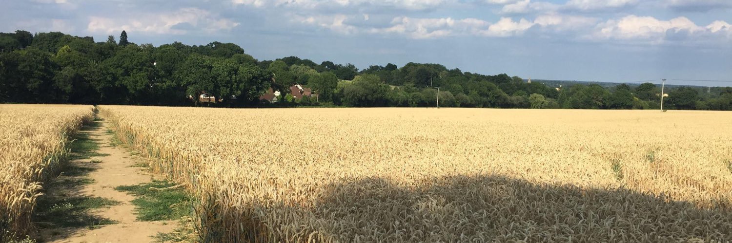 Cllr Nick Carter banner