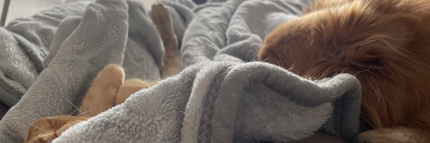 aroamedinaf's profile banner image
