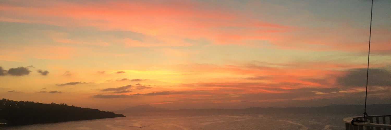 carolinethomset's profile banner image
