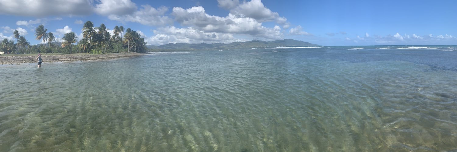 Dana slade☮️ banner