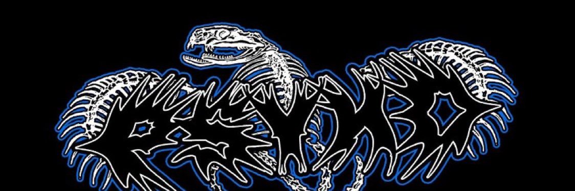 sean🏴‍☠️ banner