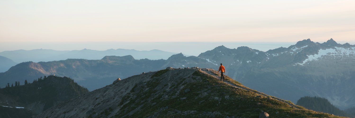 Morgan Phillips banner