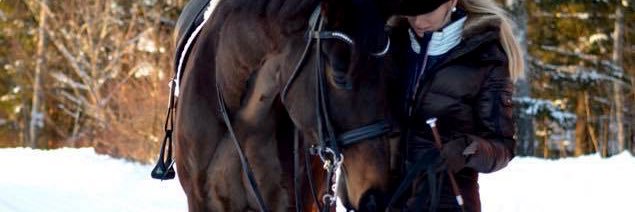 jsoderqvistt's profile banner image