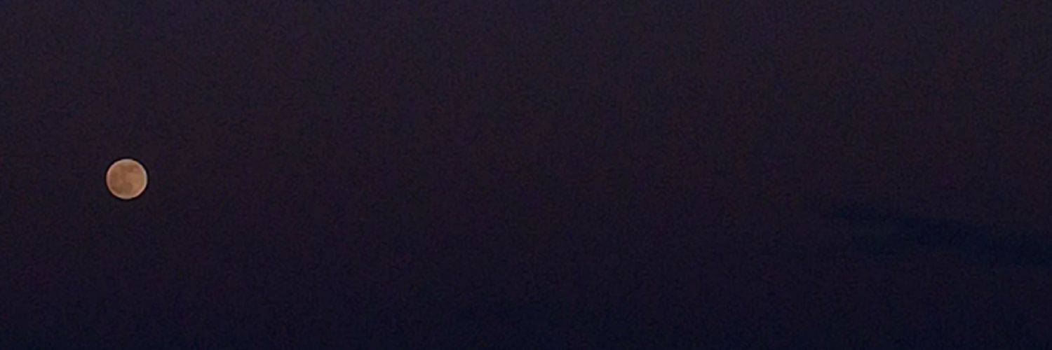 ______purplesky's profile banner image