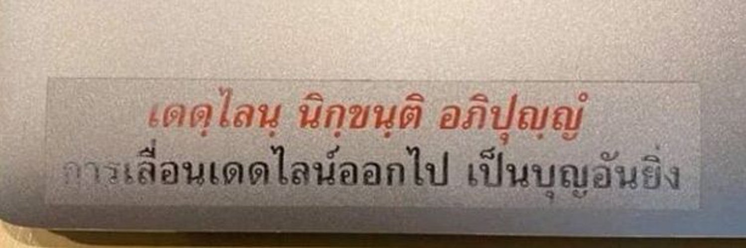 ขอกุไปเป็นจัดจิ้งสเนค's banner