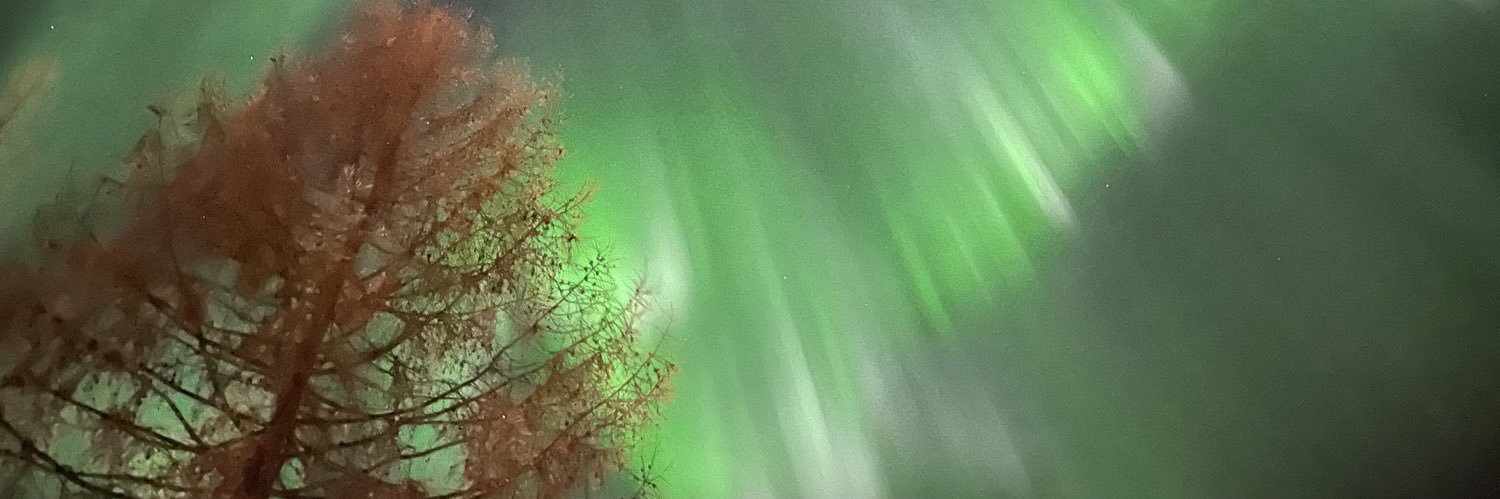 Aurélie DHUIT banner