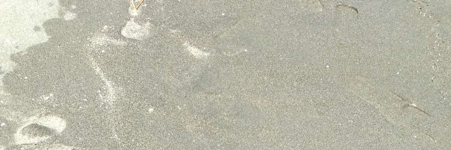 r_sma11's profile banner image