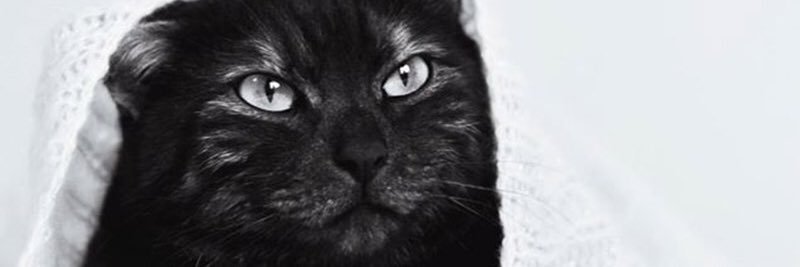 GamacheLuc's profile banner image