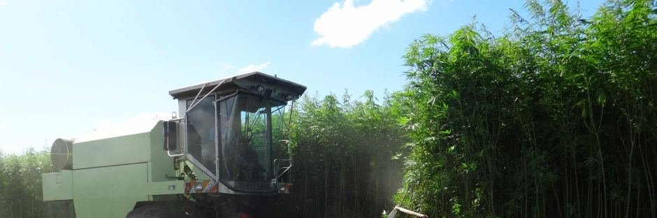 Philly420DOTcom's profile banner image