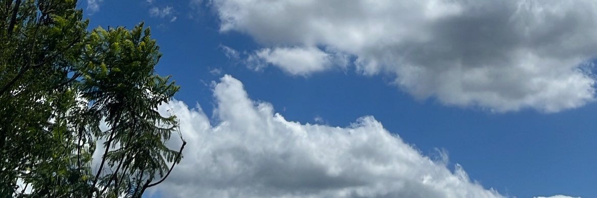 leandrodrapa's profile banner image