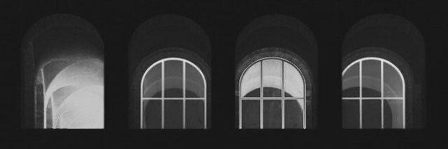 Lauren. banner