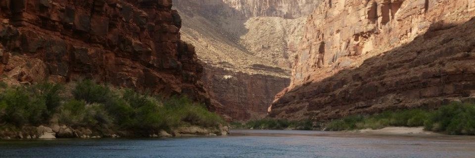 Dave Smith 🇺🇦 banner