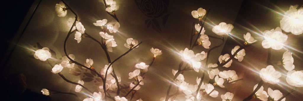 Belinderella's profile banner image