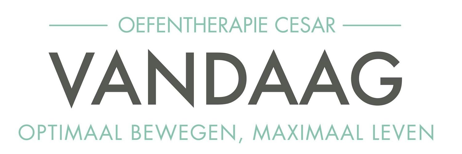 Praktijk Vandaag | Oefentherapie Cesar banner