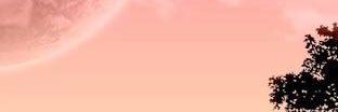 yasuwox banner
