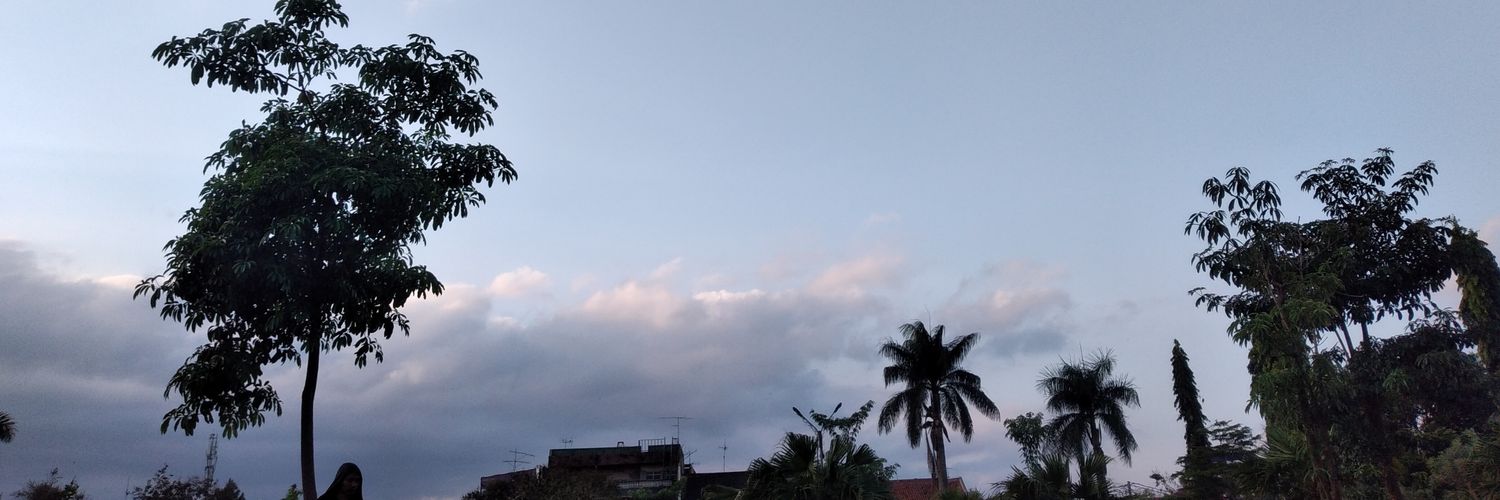 alyatrn's profile banner image