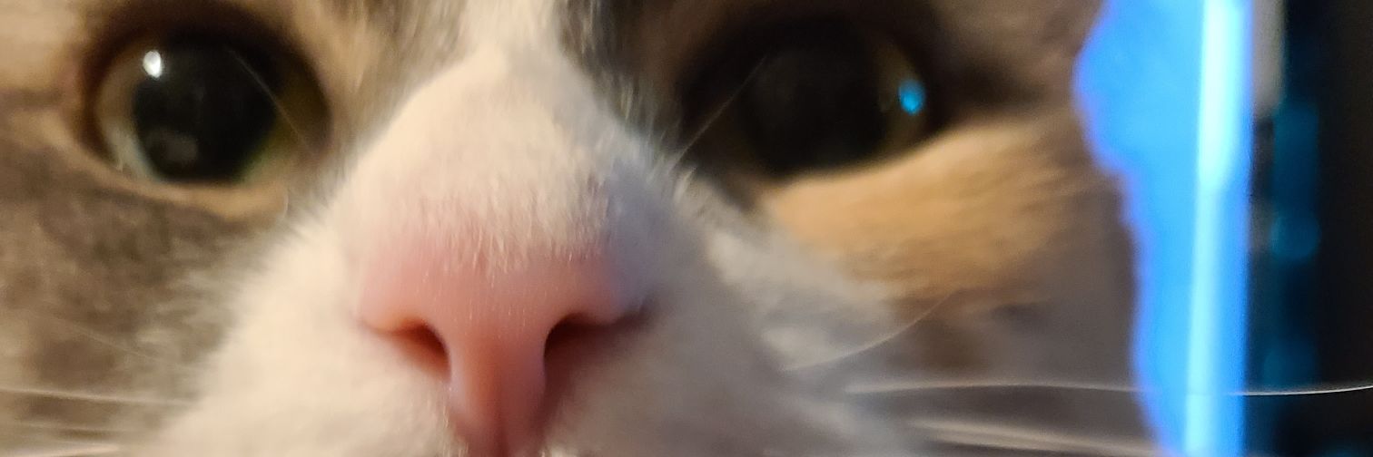 DoctorJones000's profile banner image