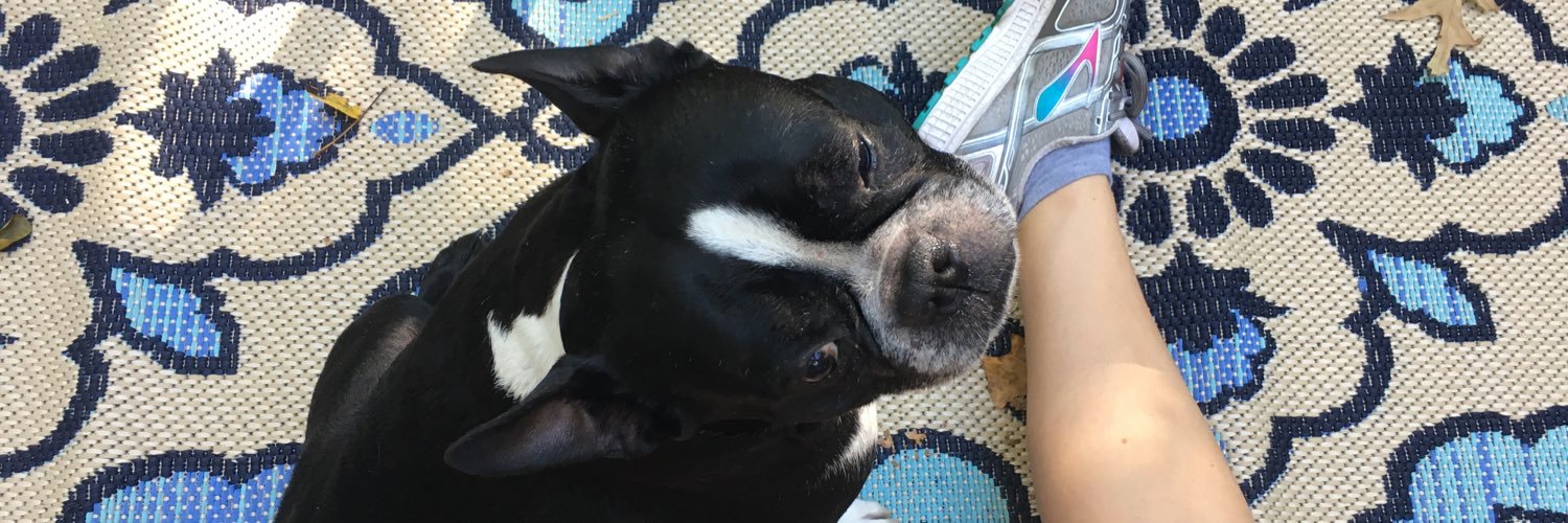 emmie_schmitt's profile banner image