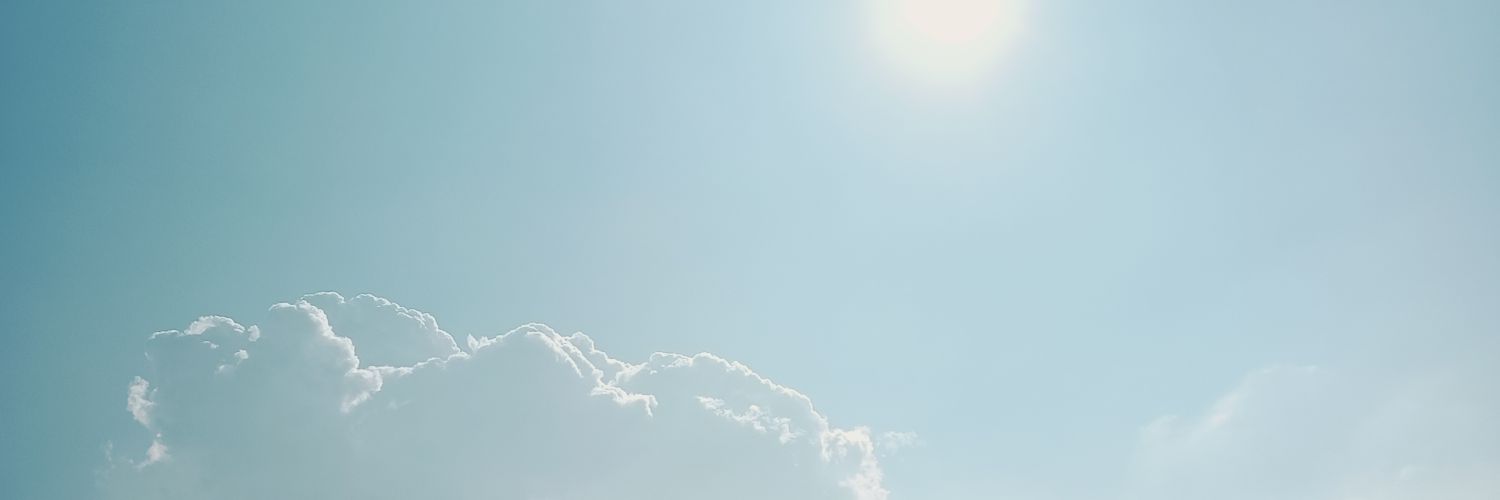 metafoline's profile banner image