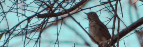 twtjooheon's profile banner image