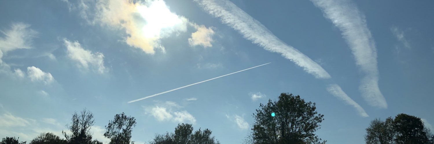 Dominique Legros banner