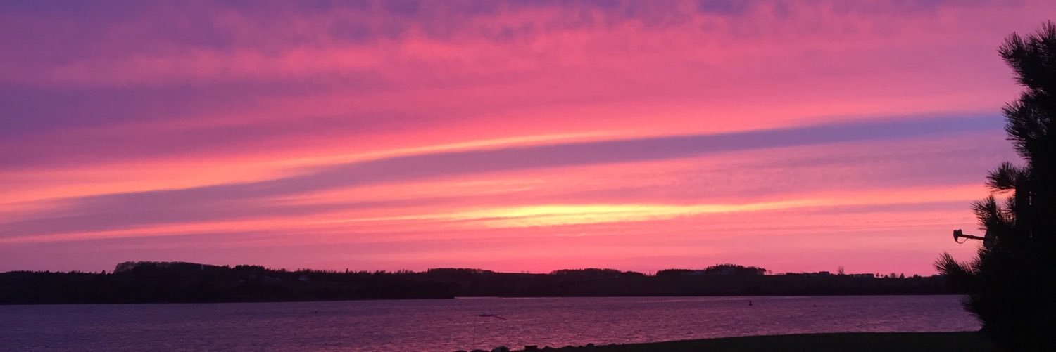 fionabaker_'s profile banner image