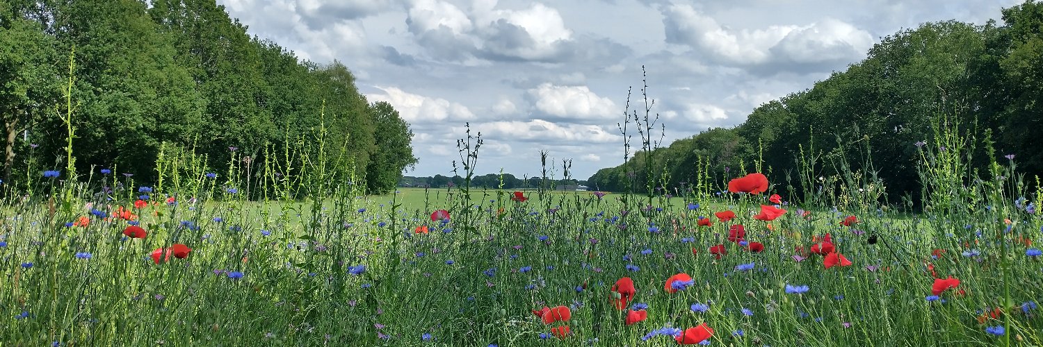 MarcelvdVenne's profile banner image